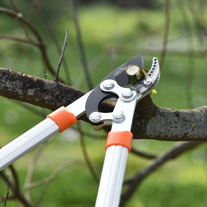 Hocheffiziente Amboss-Gartenschere
