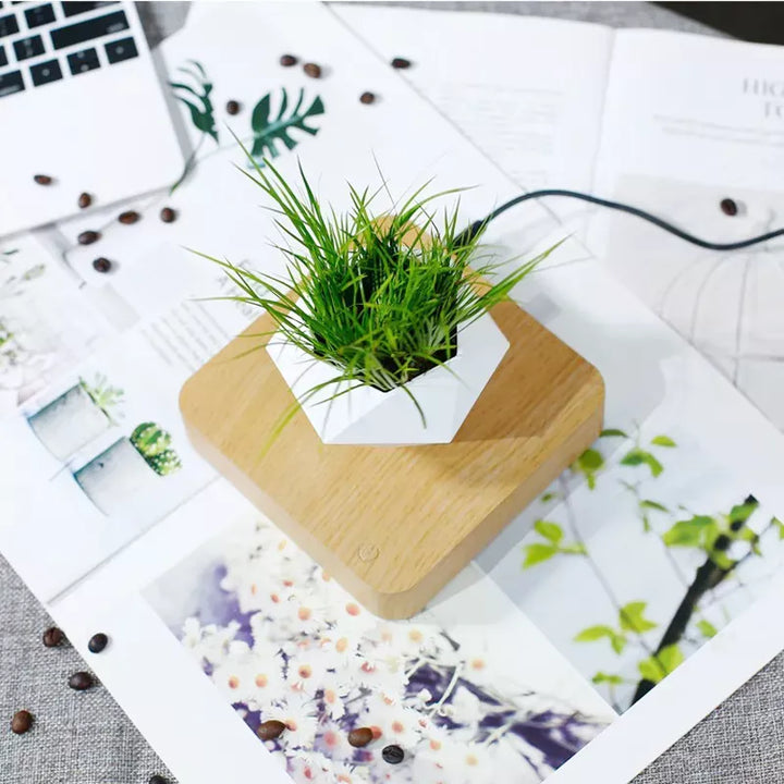 Enchanting Moon & Levitating Plant LED Light