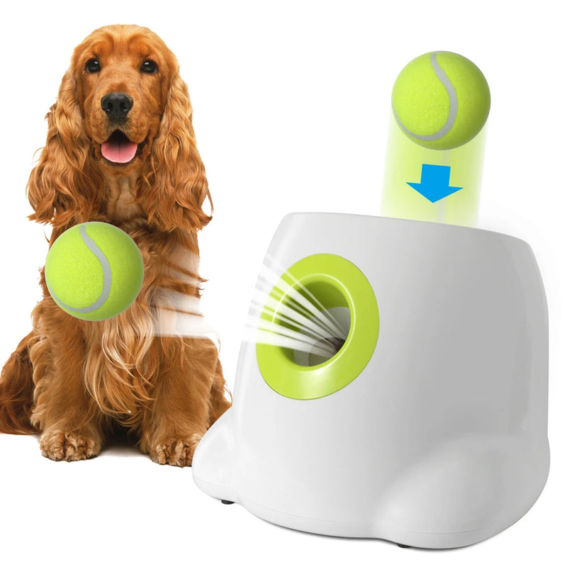 Brinquedo interativo para cães: Lançador automático de bolas de tênis
