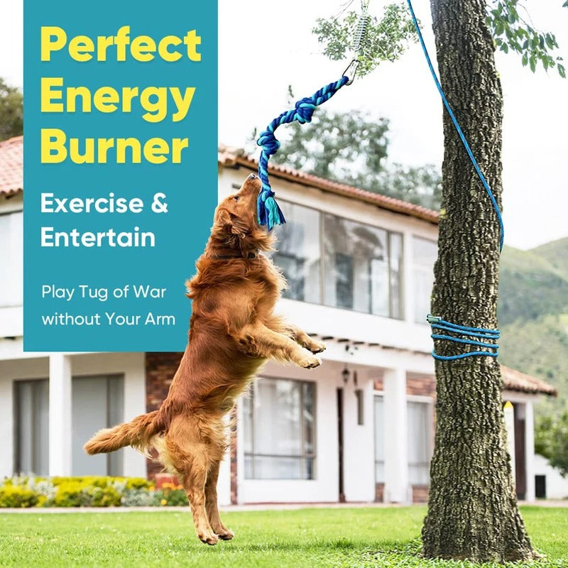 Bungee dog tug toy, view 5 - MRSLM