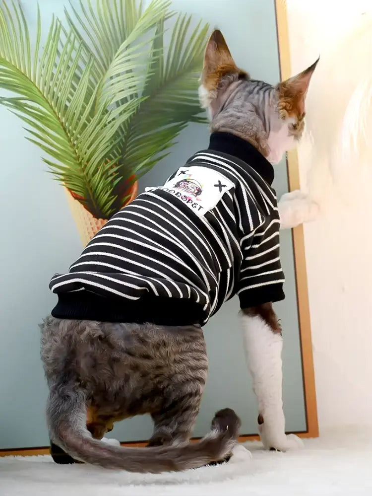 cat and small dog hoodie, view 5 - MRSLM