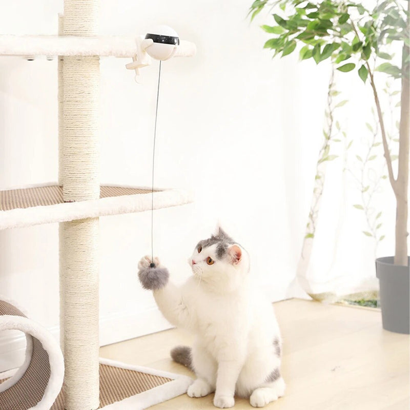 electric cat ball toy, view 5 - MRSLM