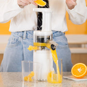 mini electric juicer - MRSLM