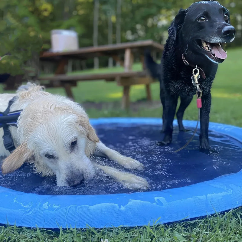 Piscina interativa para cães com tapete de aspersão