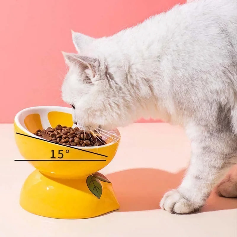 Tigela de cerâmica para animais de estimação em formato de fruta