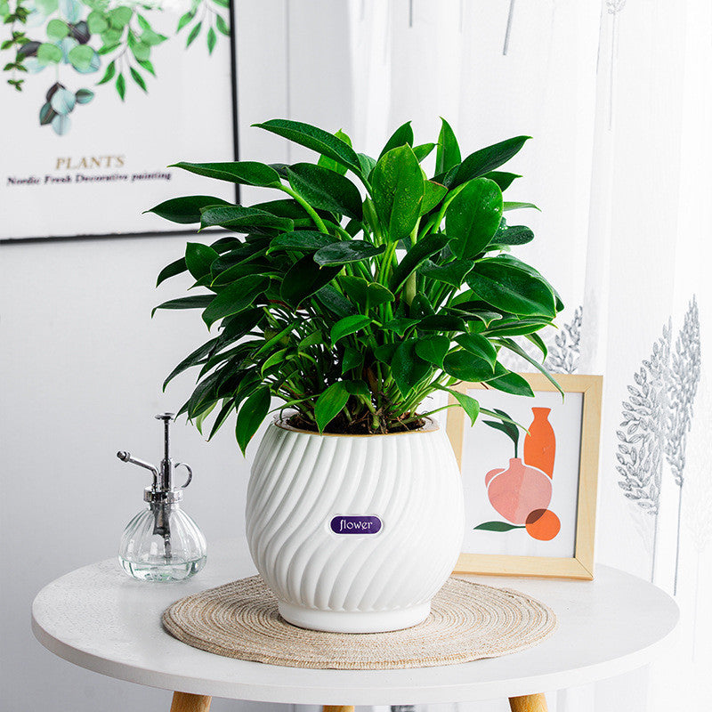 handmade self-watering planter, view 6 - MRSLM