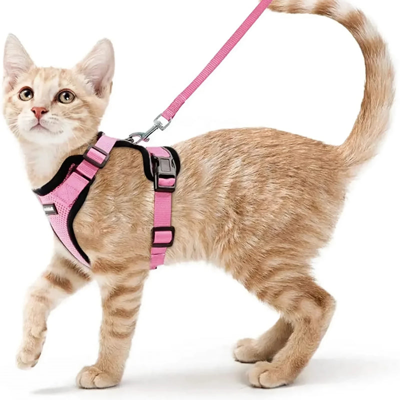 cat harness and leash, view 16 - MRSLM