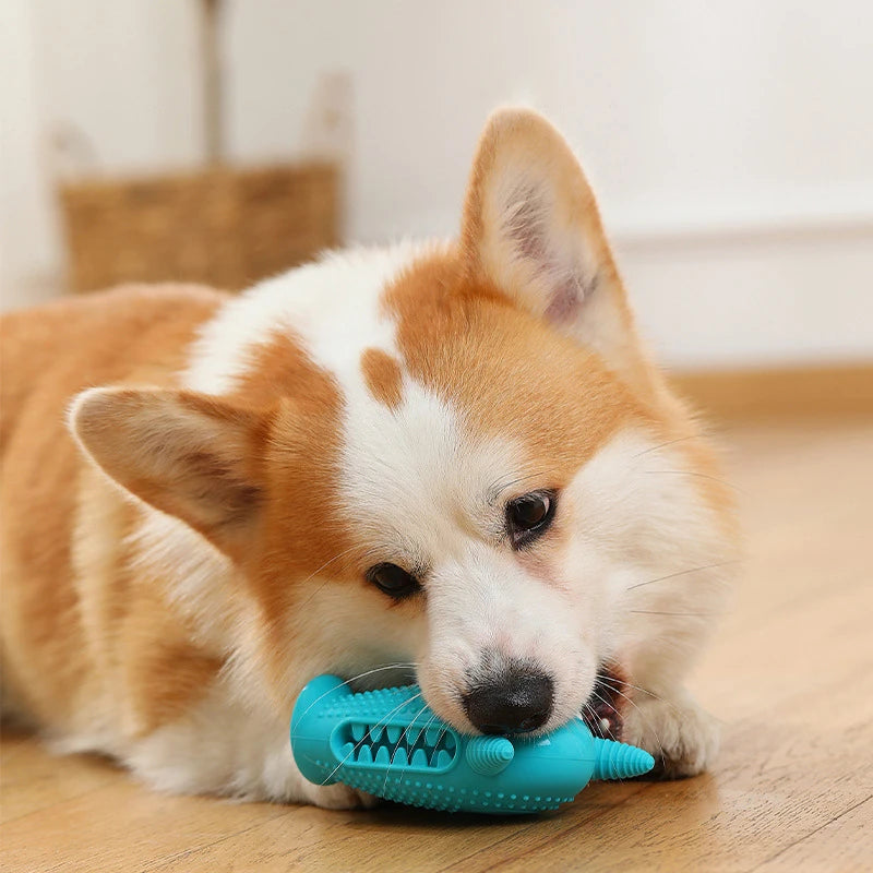 silicone dog molar toy, view 9 - MRSLM