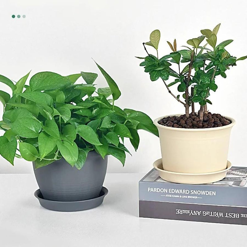 Round indoor plant pot with tray, view 9 - MRSLM