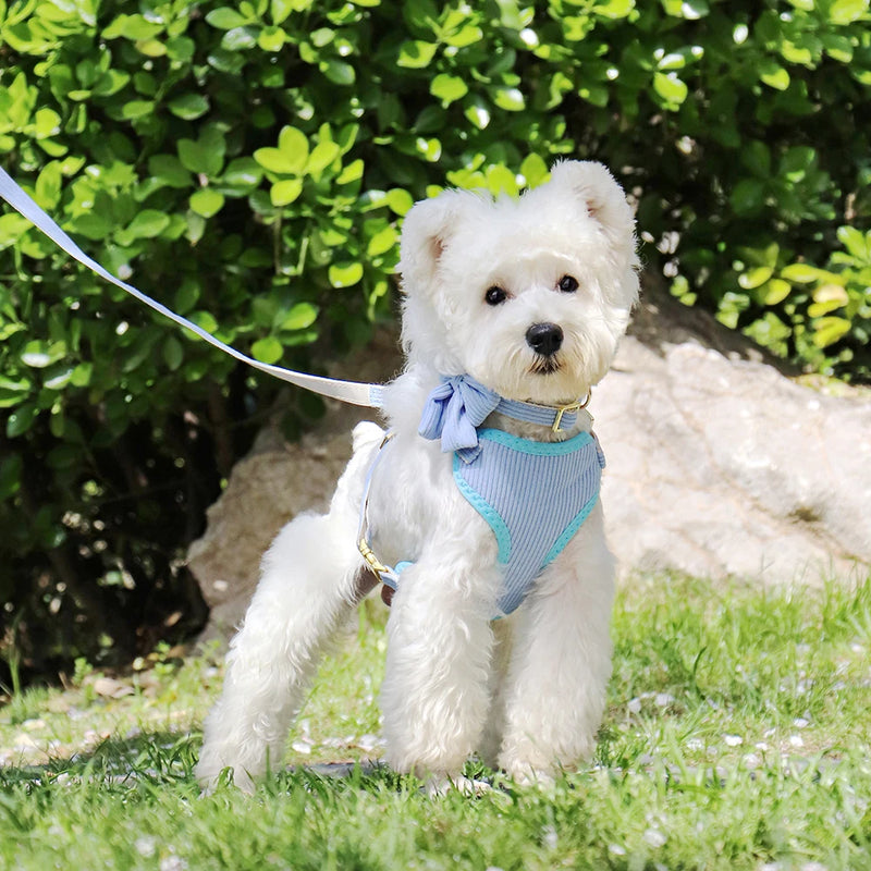 Adjustable mesh dog harness and leash set with bowknot, view 9 - MRSLM