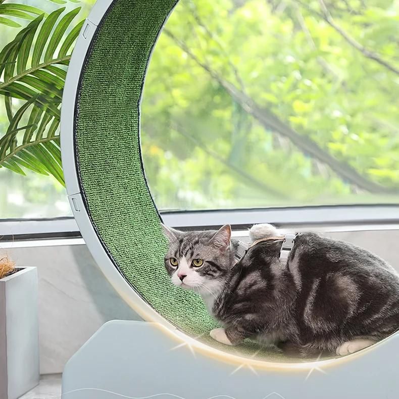 Leises Katzenlaufrad