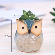 Mini owl ceramic planter, view 6 - MRSLM