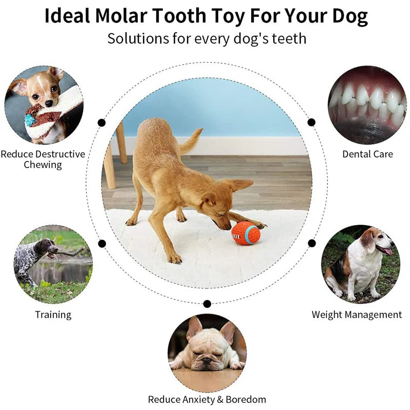 Bite-resistant squeaky chew toy for dogs, view 4 - MRSLM