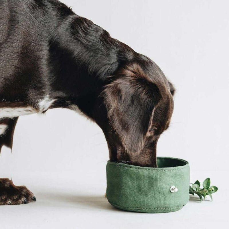 Tigela dobrável de lona impermeável para cães, 1000ml