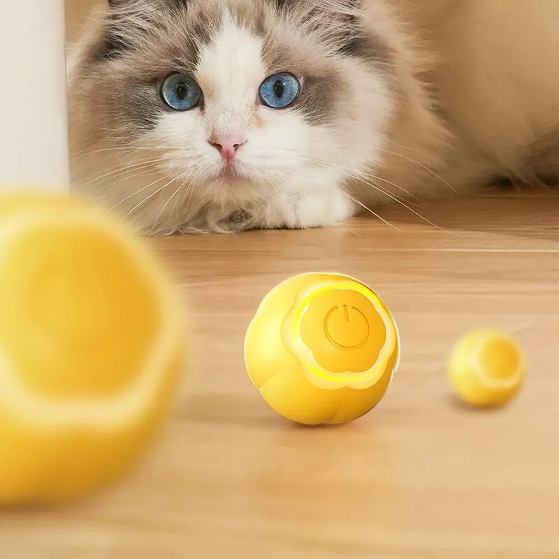 LED cat toy ball, view 9 - MRSLM