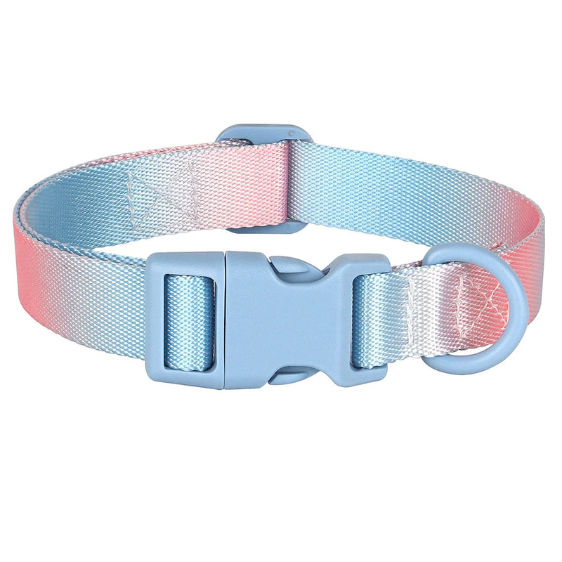 printed nylon dog collar, view 4 - MRSLM
