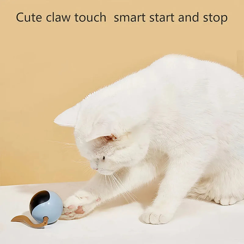 interactive cat ball toy, view 4 - MRSLM