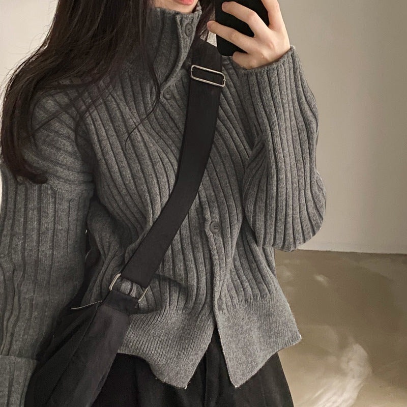 Women's Chic Style Autumn And Winter Leisure High Neck Ribbing Warm Sweater