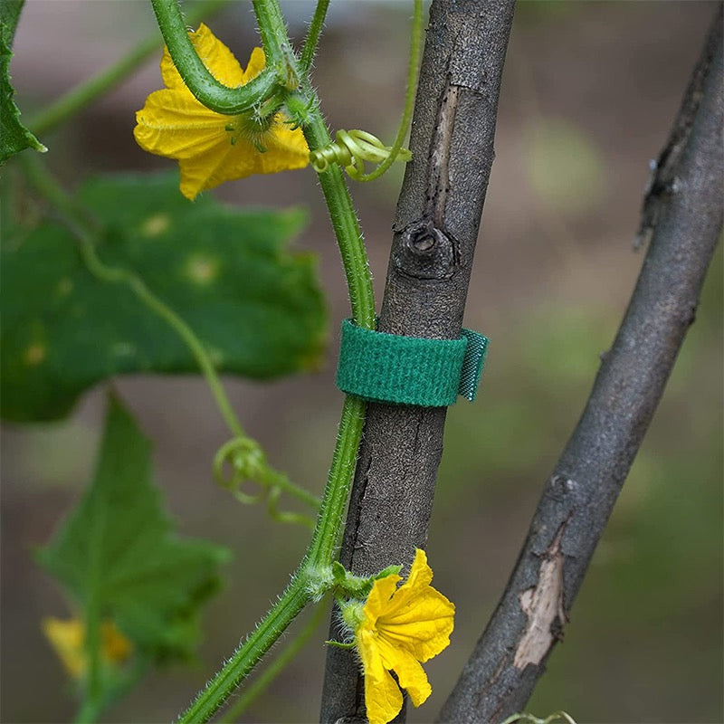 Amarras de nylon para plantas