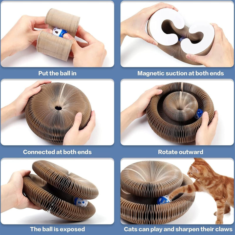magic organ cat scratcher toy, view 6 - MRSLM