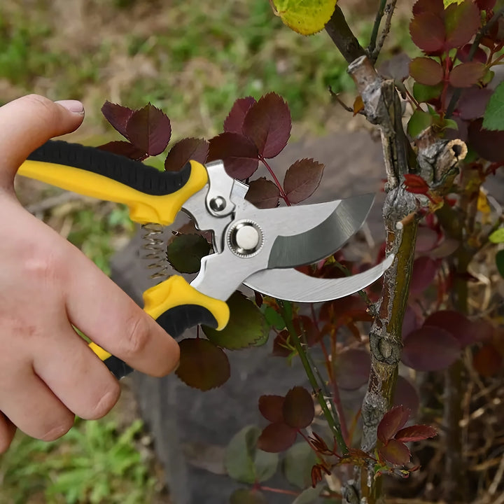 Professional Bypass Pruning Shears