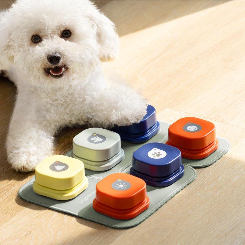 Interactive dog communication button - MRSLM