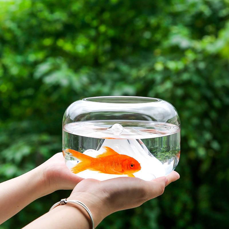 mini glass fish bowl - MRSLM