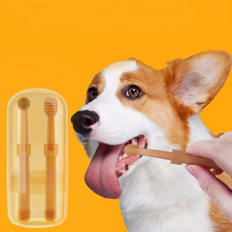 silicone pet toothbrush kit - MRSLM