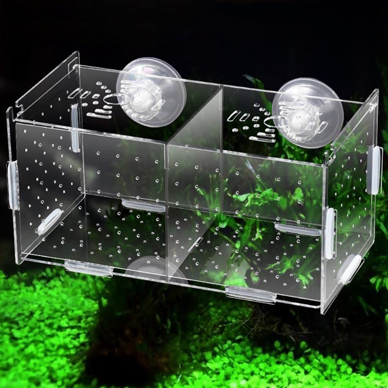 Caixa de Acrílico para Criação de Guppies