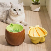 elevated ceramic cat bowl - MRSLM