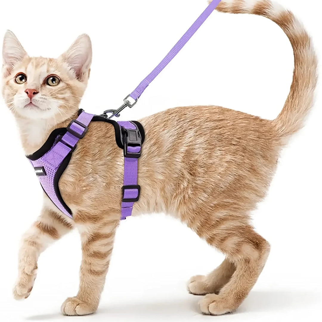 Escape-Proof Cat Harness & Leash