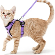 cat harness and leash, view 4 - MRSLM