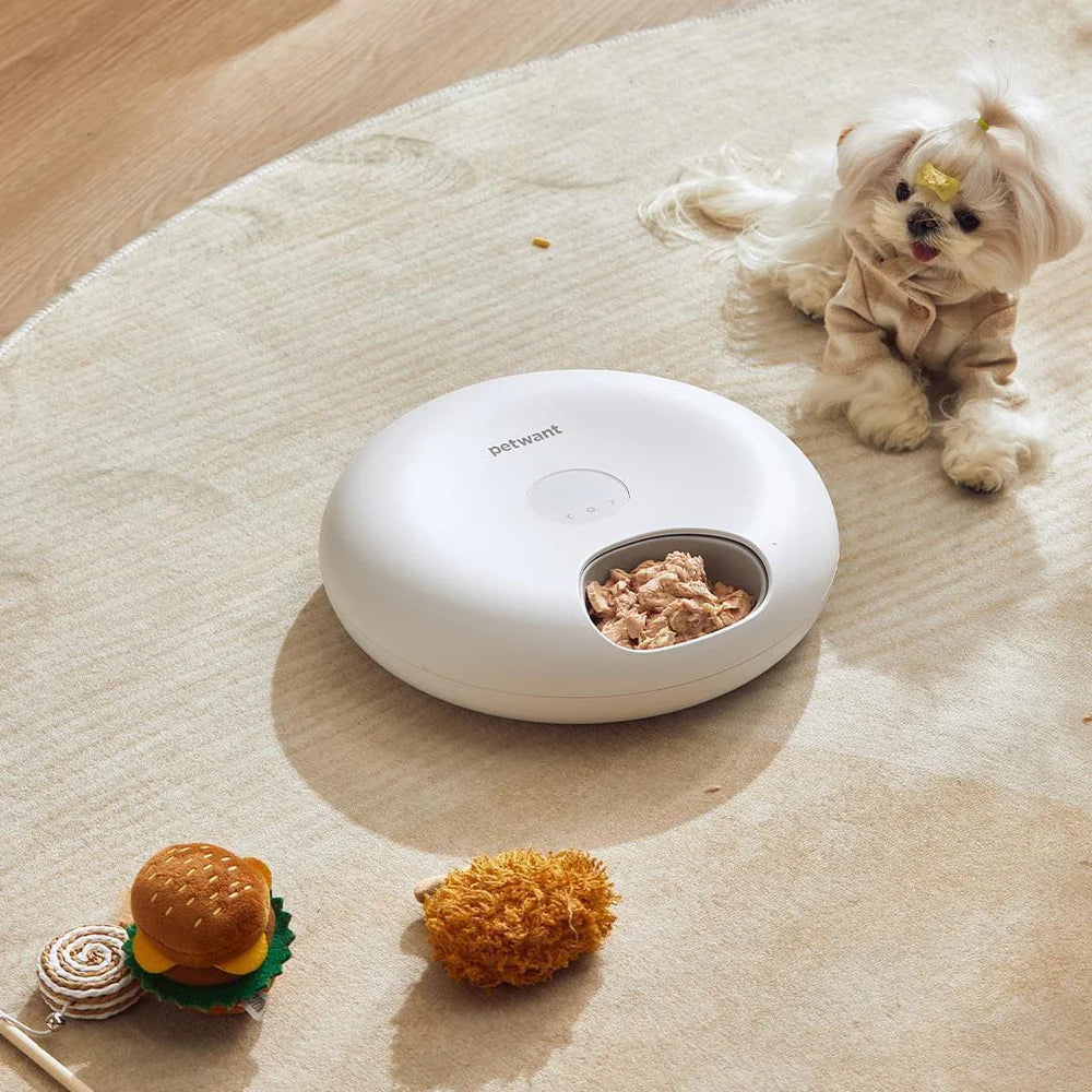Smart 6-Meal Automatic Pet Feeder for Cats: Timed Food Dispenser for Wet and Dry Food
