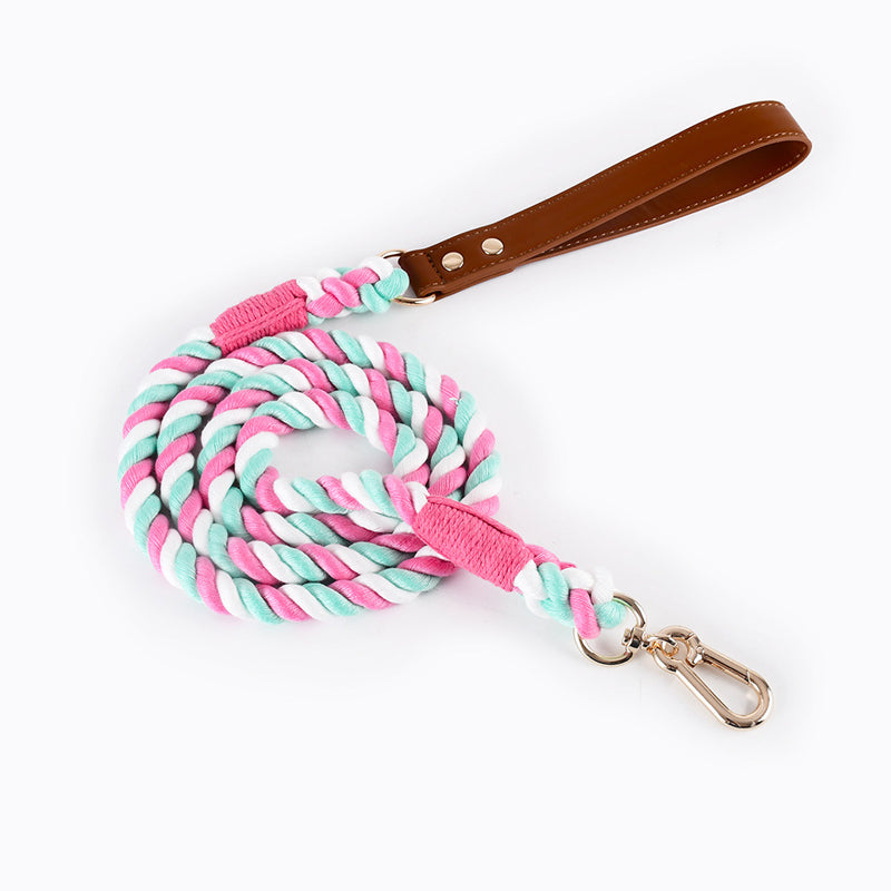 no-tangle braided dog leash, view 3 - MRSLM