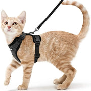 cat harness and leash, view 14 - MRSLM