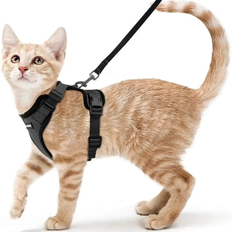 cat harness and leash, view 14 - MRSLM