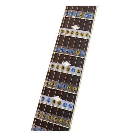 Guitar Fretboard Note Stickers for 6 and 4 String | MRSLM