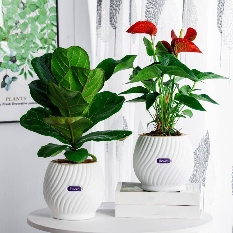 handmade self-watering planter - MRSLM