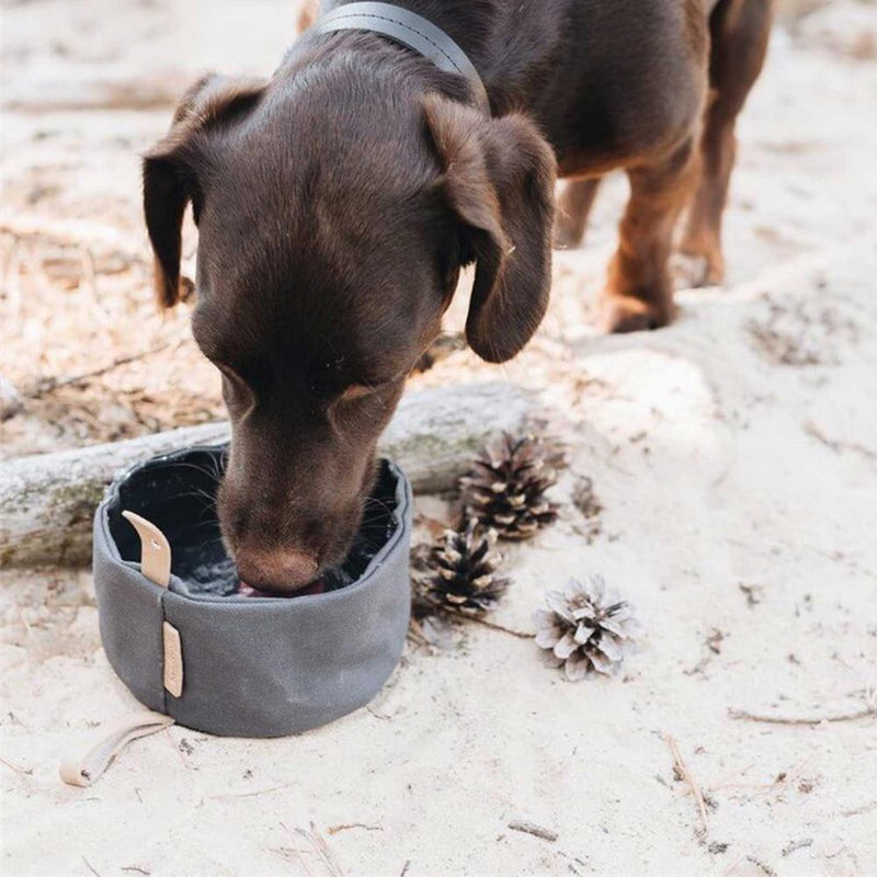 Tigela dobrável de lona impermeável para cães, 1000ml