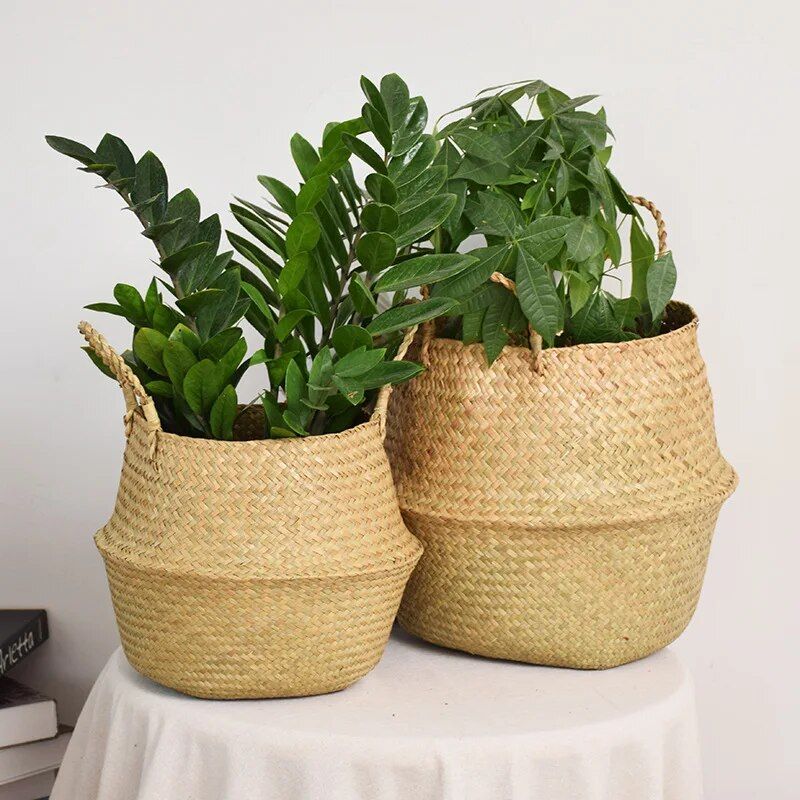 Versatile Wicker Seagrass Planter and Storage Basket