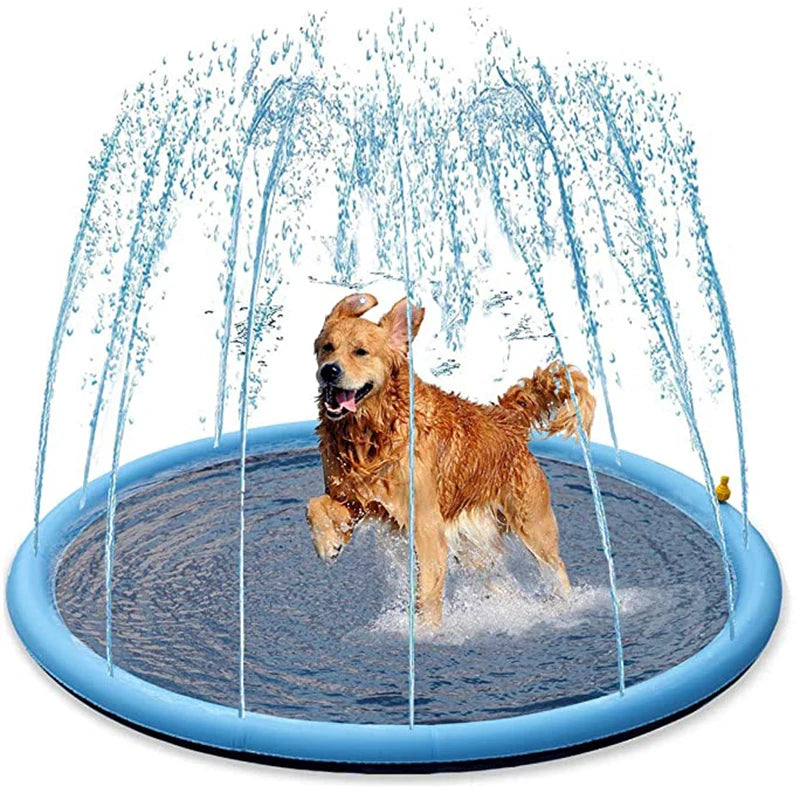 Piscina interativa para cães com tapete de aspersão