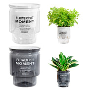 self-watering transparent succulent planter, view 8 - MRSLM