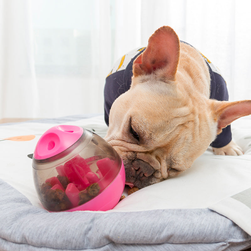 interactive pet food ball, view 6 - MRSLM