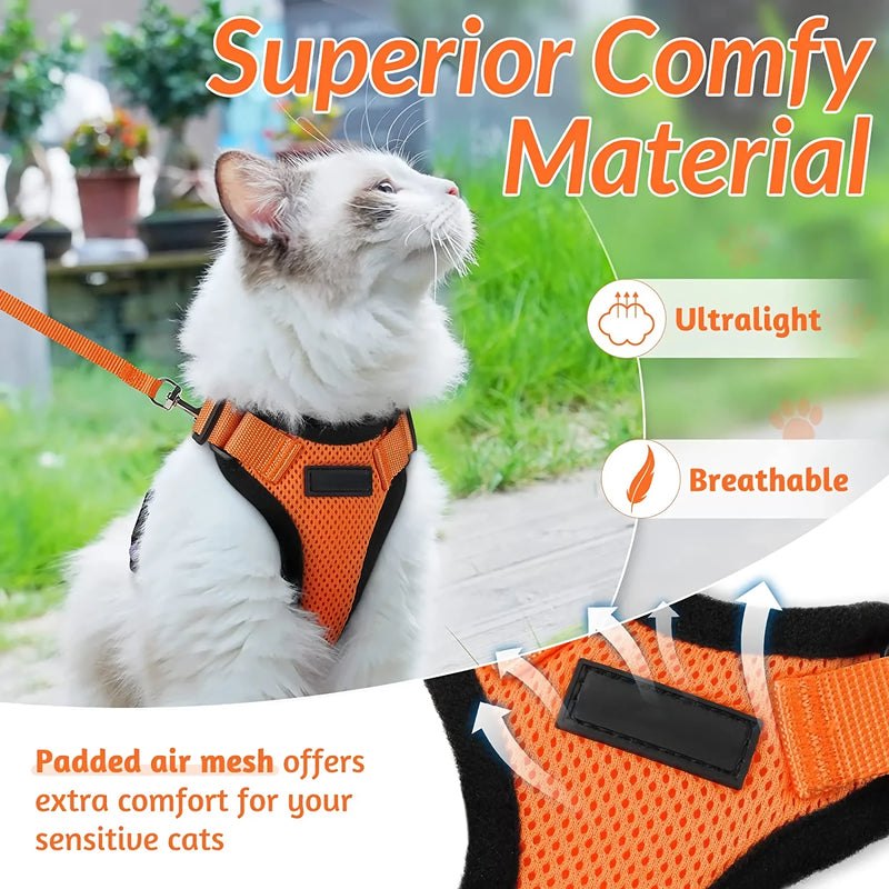 cat harness and leash, view 24 - MRSLM