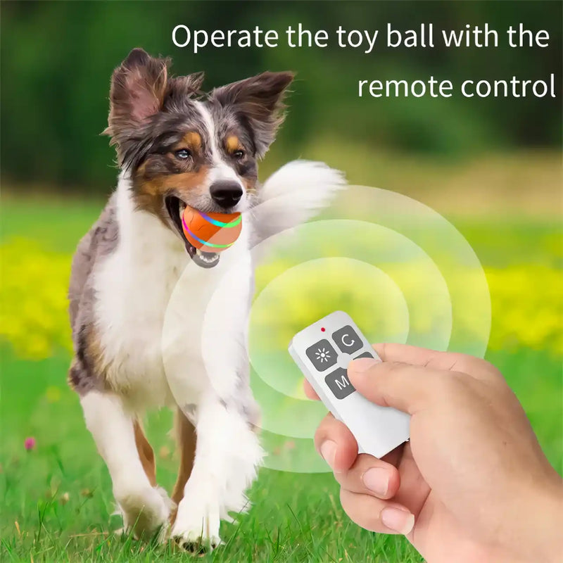 remote control pet ball, view 5 - MRSLM