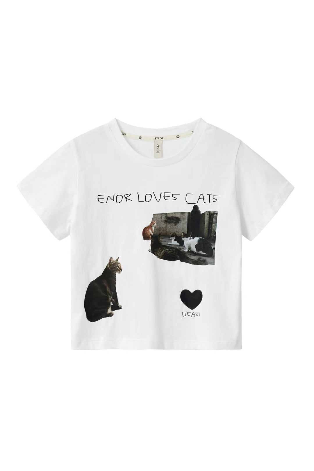 Cat Letter Print Crew Neck T-shirt Short Sleeves Top