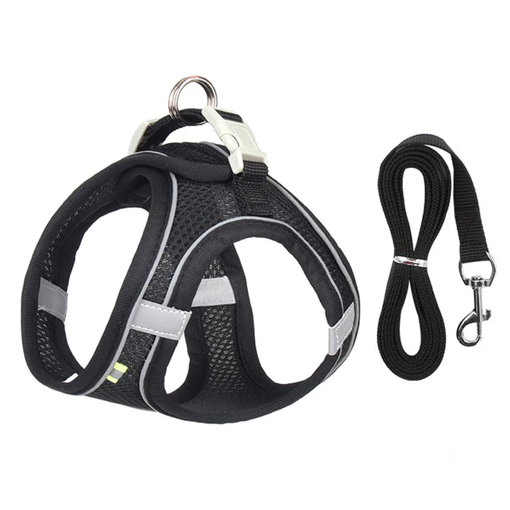 Adjustable Summer Mesh Harness and Leash Set for Small Dogs and Cats