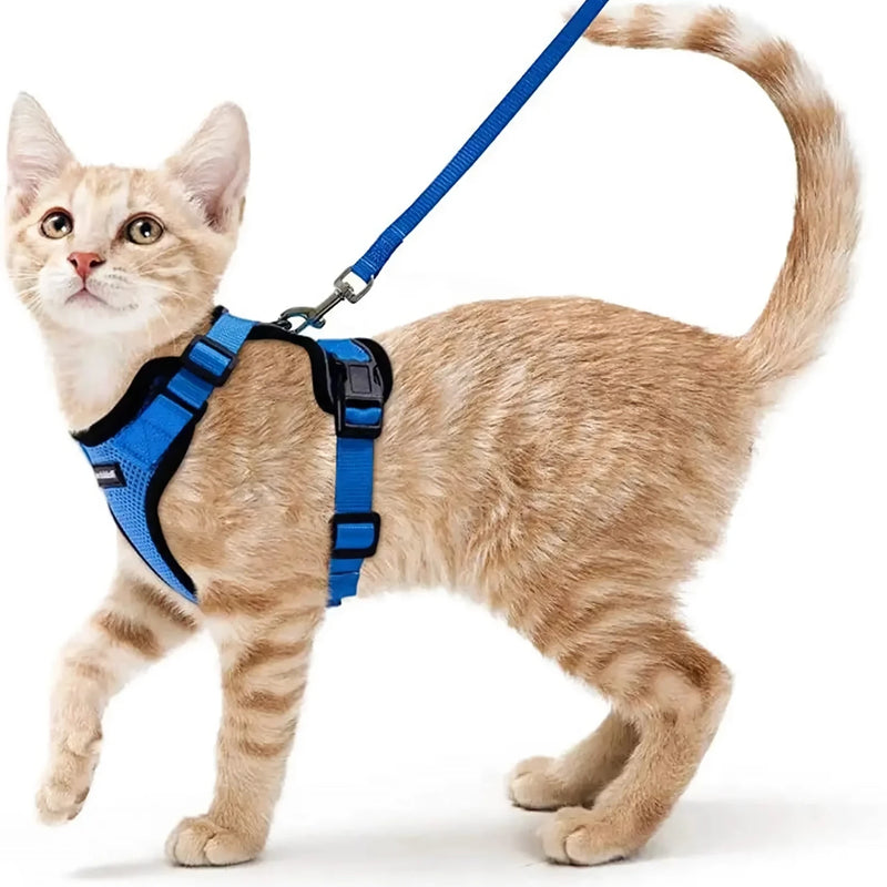 cat harness and leash, view 11 - MRSLM