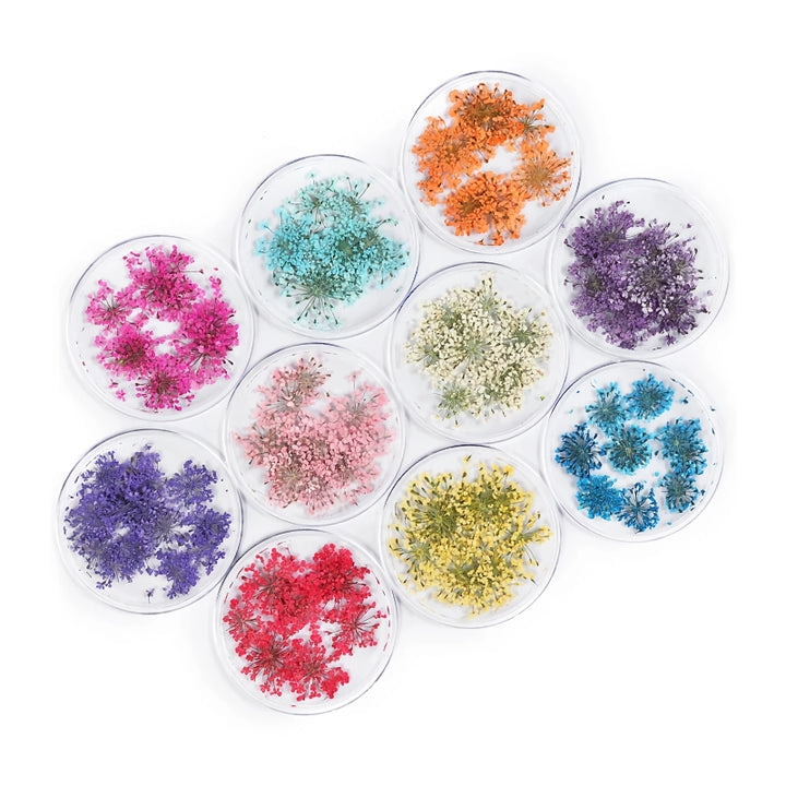 3D Dried Flower Nail Art Decorations Set