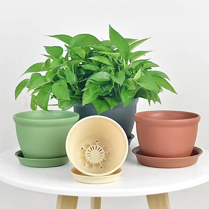 Round Ceramic Style Indoor Plant Pot with Tray